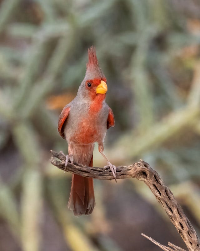 20250720-mby-43-Edit.jpg 20250720-mby-43-Edit.jpg