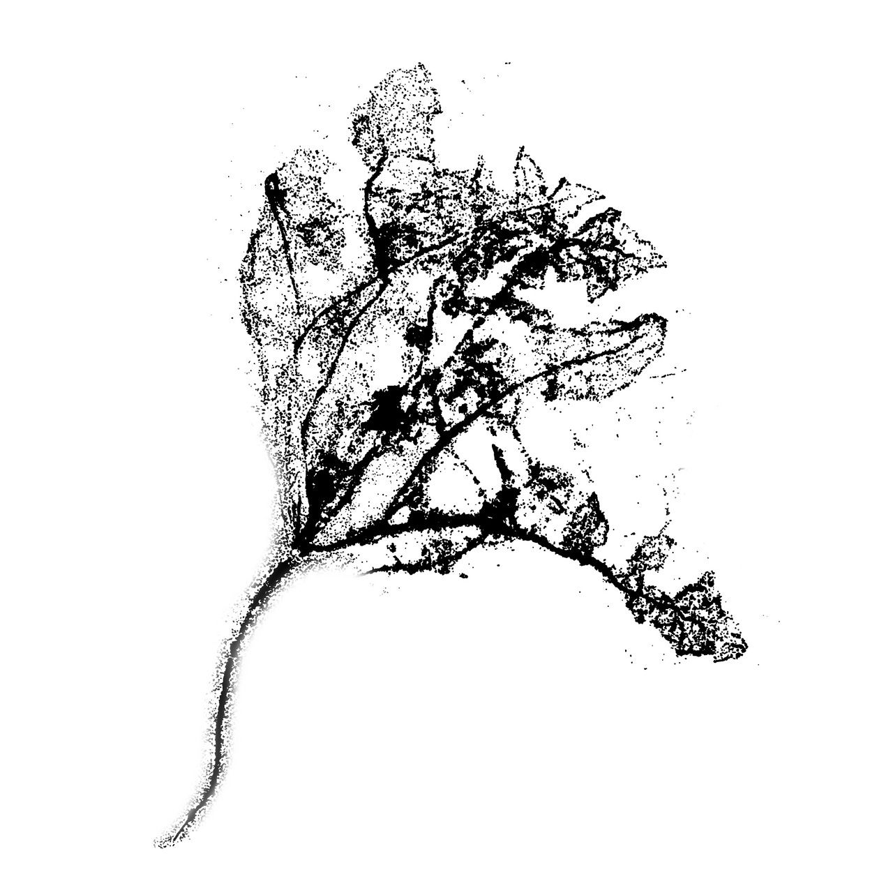 Arranging the pieces