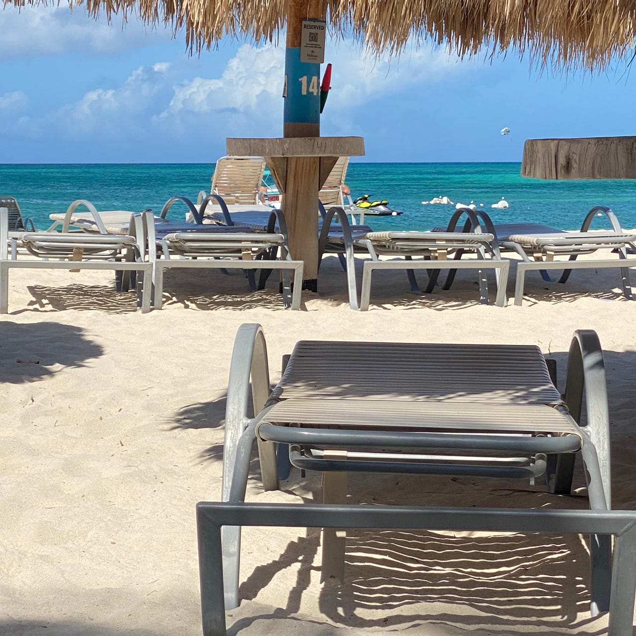 Sunnydaze and Life Without Parole