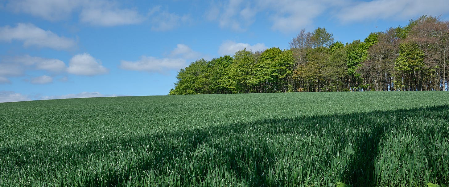 Fordell, walking up from Clockluine Road