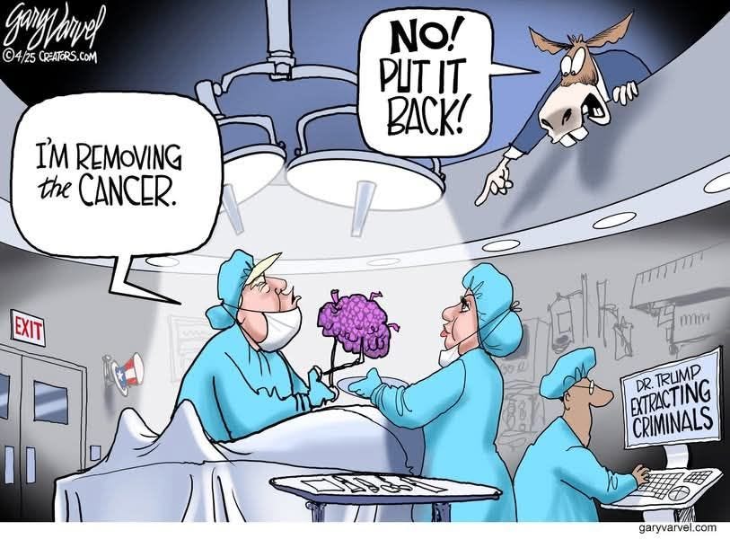 May be an image of text that says 'gangarvel ©4/25 CREATORS CREATORS.COM COM NO! PИT IT BACK! I'M REMOVING the CANCER. EXIT II elk EXTRACTING DR. TRUMP CRIMINALS garyvarvel.com' May be an image of text that says 'gangarvel ©4/25 CREATORS CREATORS.COM COM NO! PИT IT BACK! I'M REMOVING the CANCER. EXIT II elk EXTRACTING DR. TRUMP CRIMINALS garyvarvel.com'