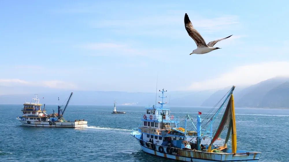 pescadores turcos