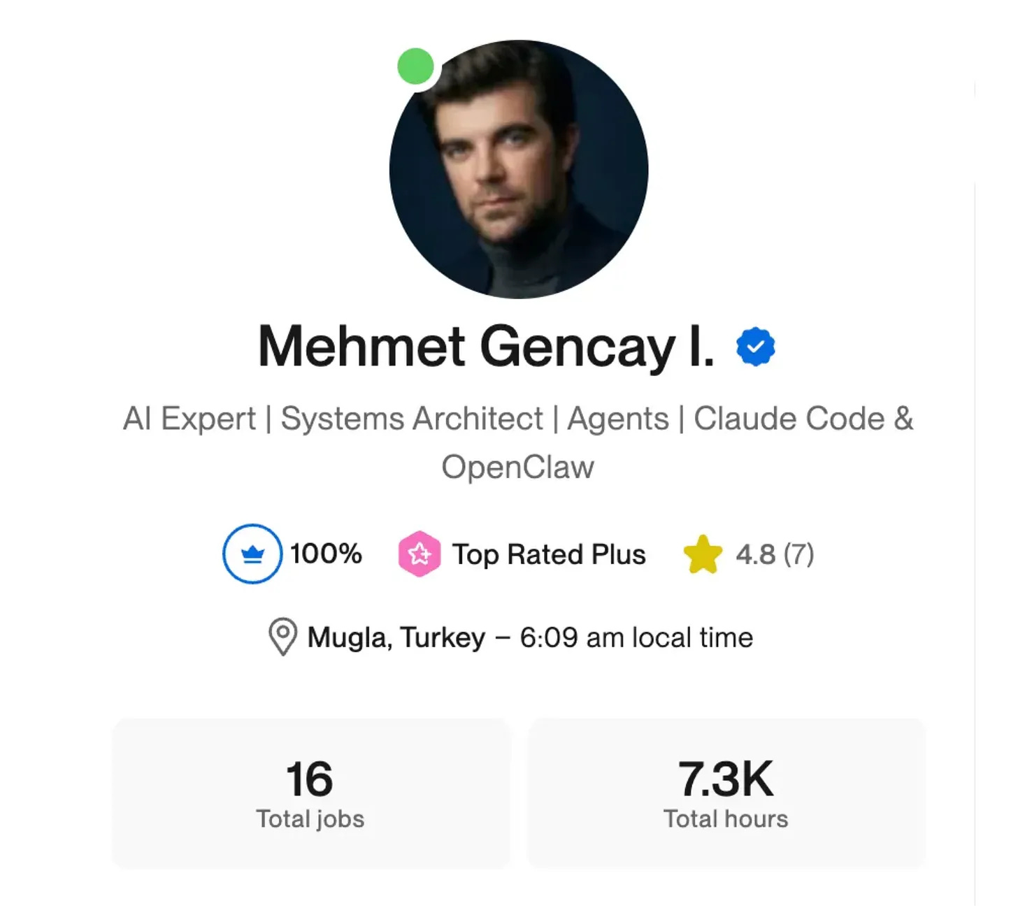 Upwork profile showing Top Rated Plus, 100 percent Job Success, and over 7,000 hours