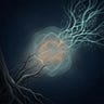 The Alien Anthropologist
