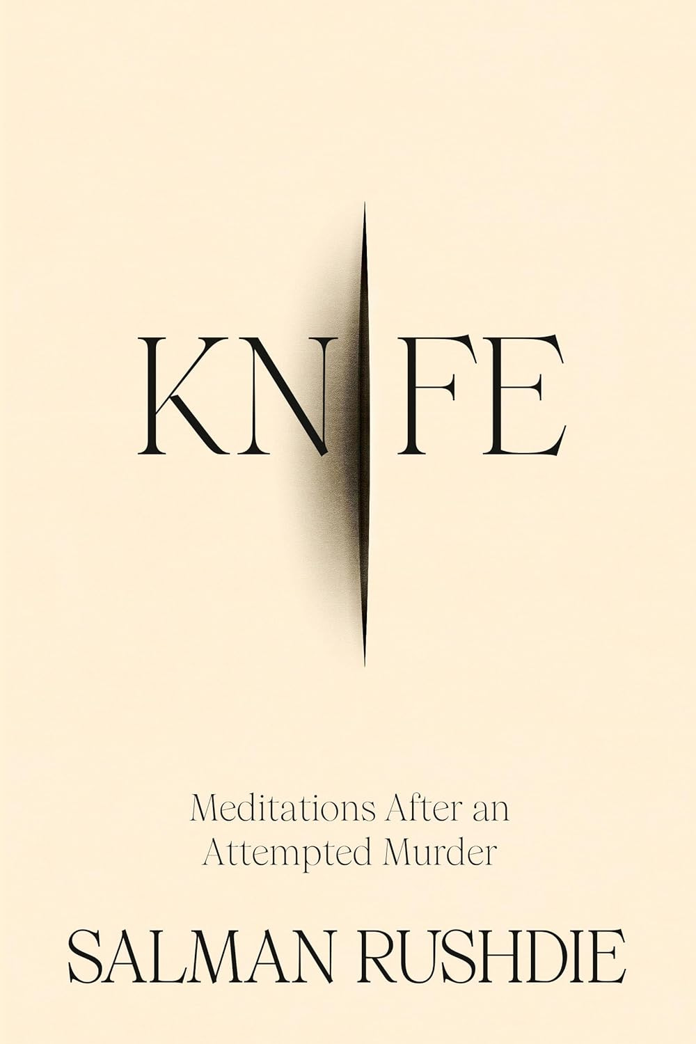 Book Cover: Knife: Meditations After an Attempted Murder link