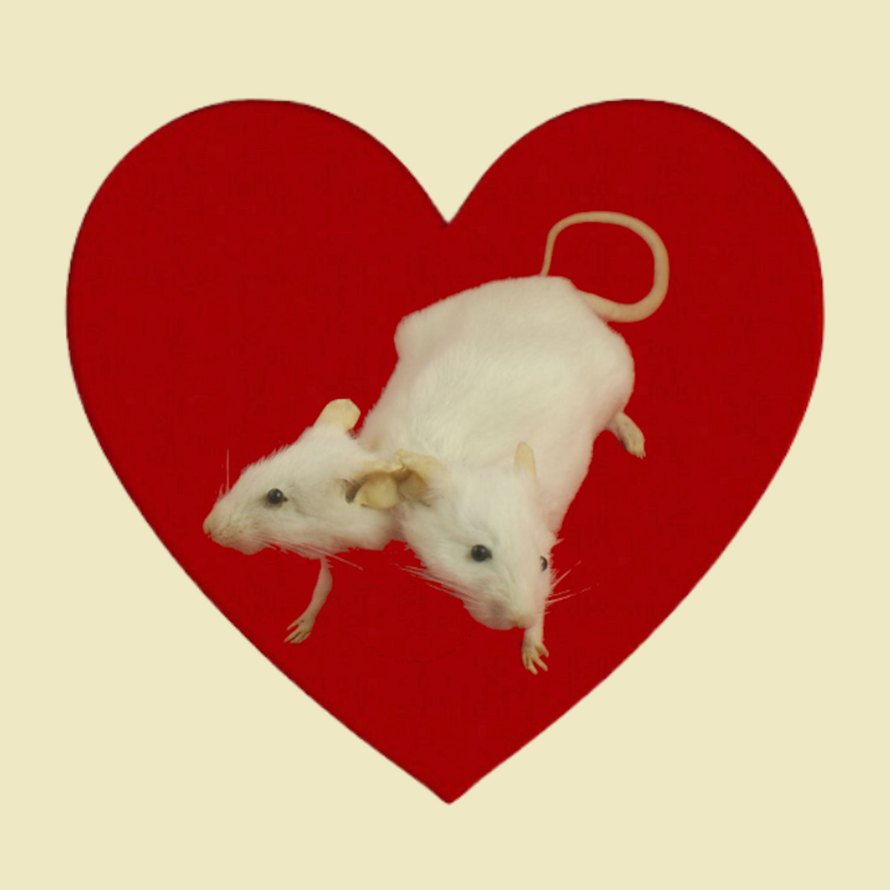 Artwork for notes on trash