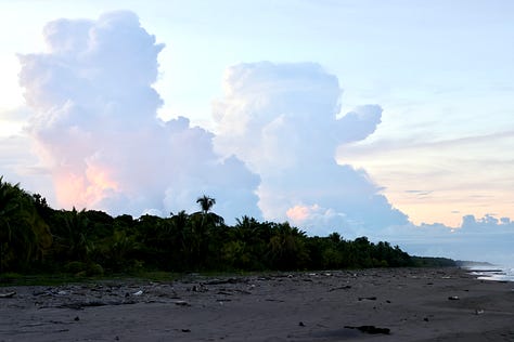 Left - pink and grey sunset tinged clouds over a lapping sea on a black beach with 2 figures in the distance. Middle - Whimbrel on the beach looking out to sea. It is standing on a black beach. Right, cumulonimbus clouds tower over the jungle canopy with a dark beach in the foreground