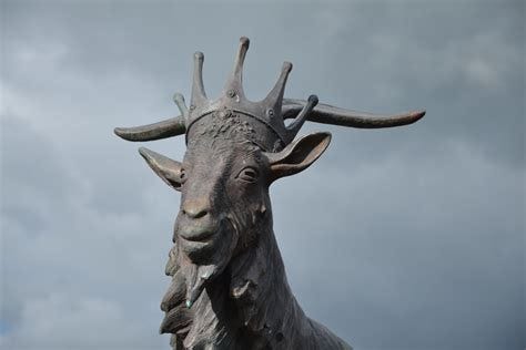 King Puck | Special Information | Ireland | Geography im Austria-Forum