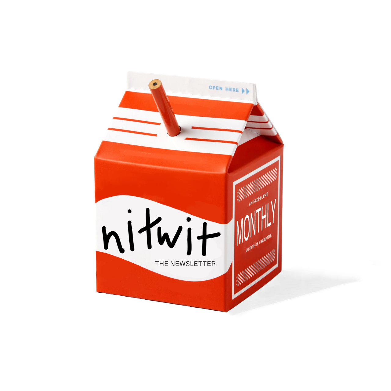 nitwit