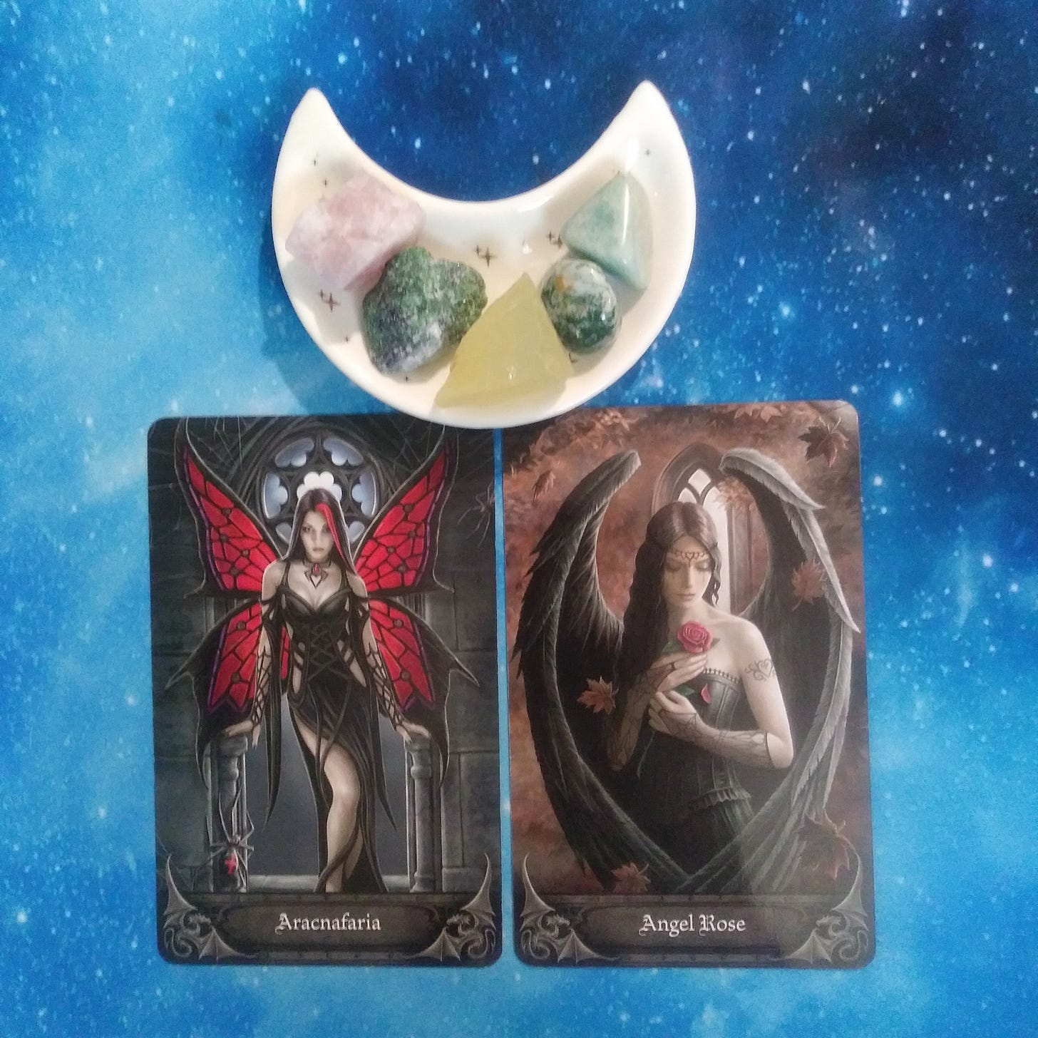 A Message from the Universe ~ Don't Make That Move Yet! Gothic Oracle Cards A Message from the Universe ~ Don't Make That Move Yet! Gothic Oracle Cards
