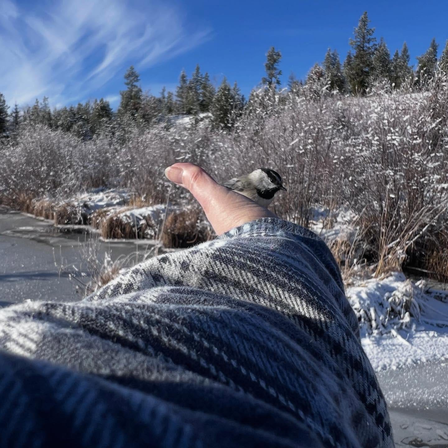 No photo description available.