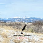 Hike 1 of 2026: Ridgeline Open Space