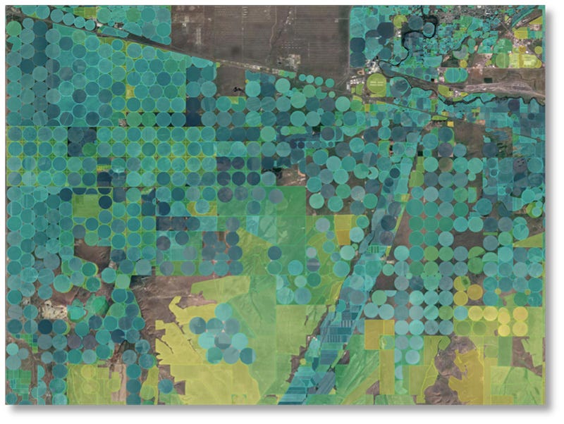 Satellite image of crops. 
