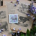 St. Lawrence shows what autumn will be