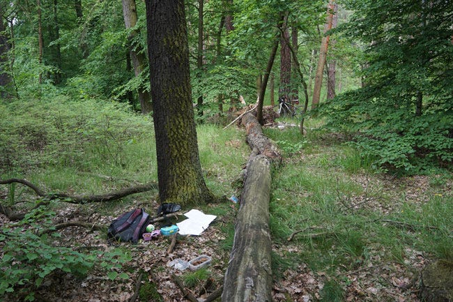 Ukradli mi strom! Ukradli mi strom!