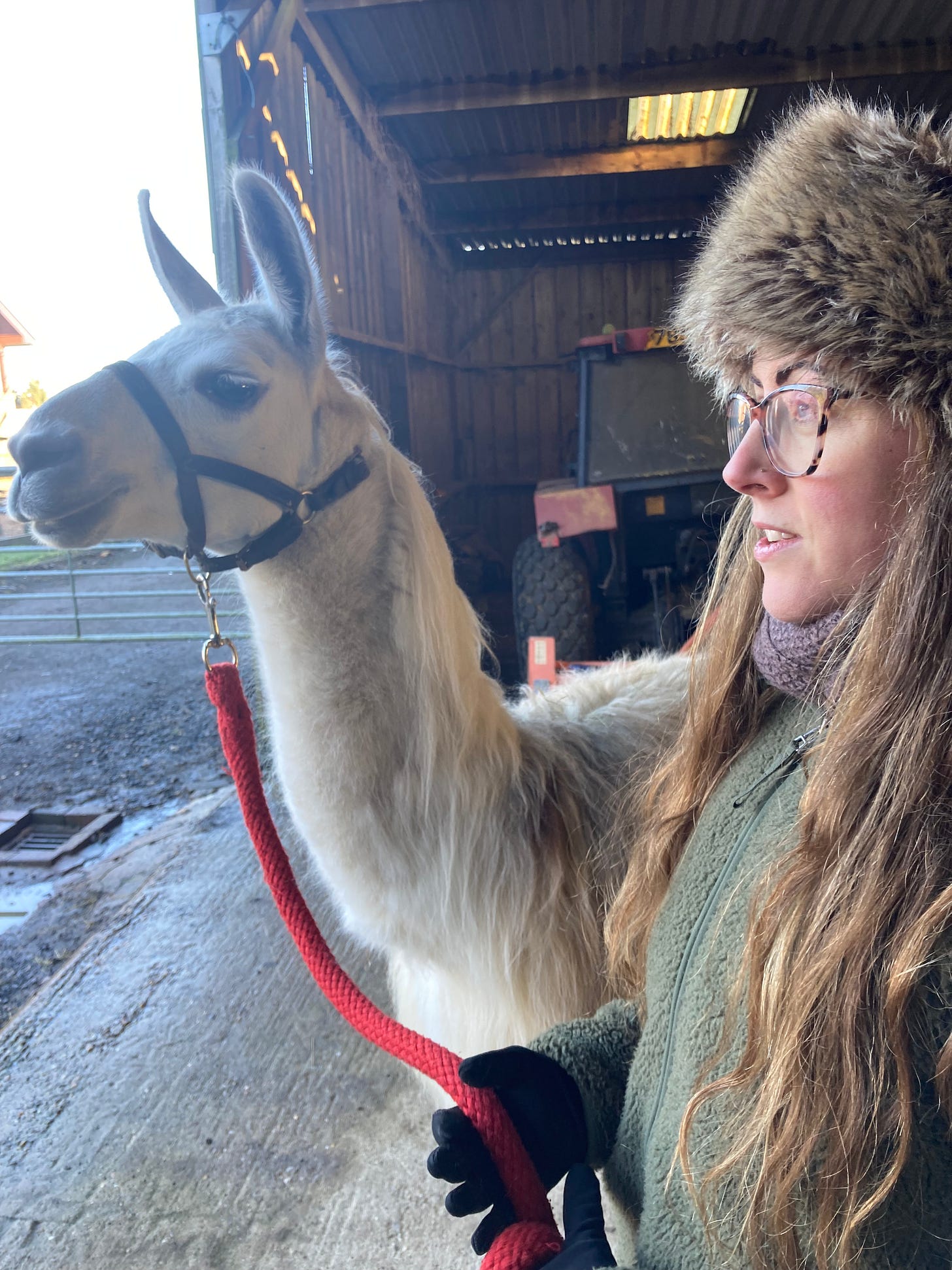 llama trekking