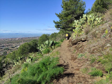 Views from the course, showing a sea view, some shaded and some open and sunny paths covered in pine needles