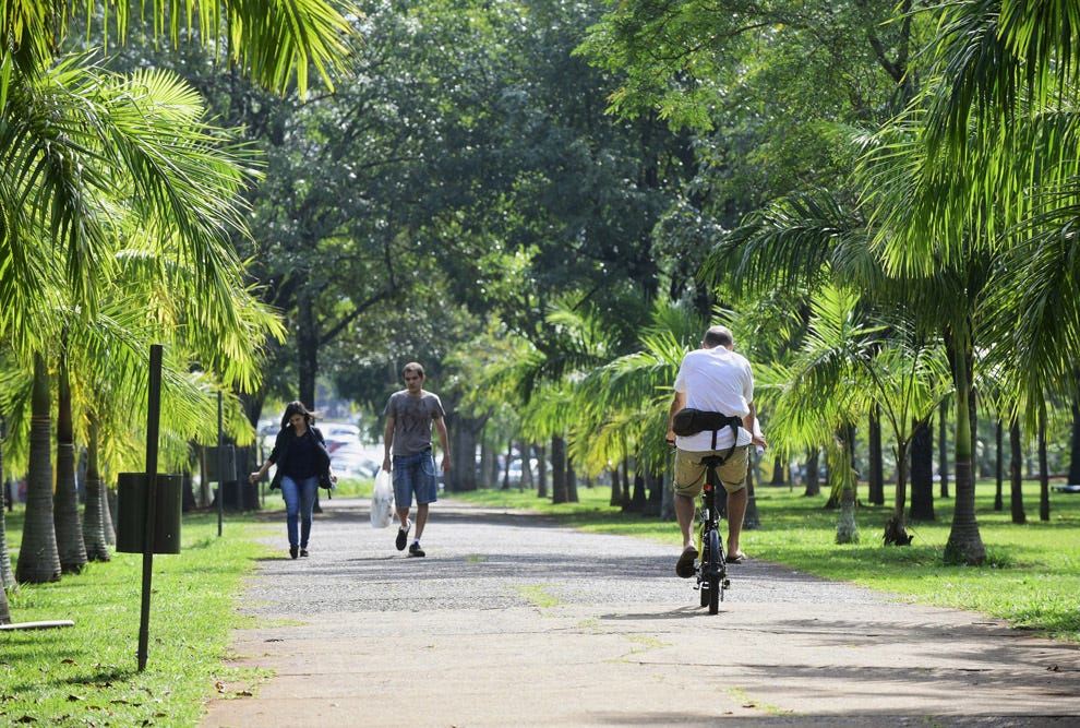 Caminho arborizado em parque com palmeiras em ambos os lados, onde uma pessoa pedala bicicleta em primeiro plano e outras pessoas caminham ao fundo em um dia ensolarado.