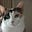 Josie Cat's avatar