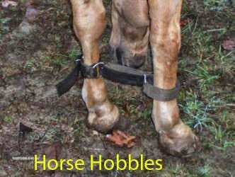 Quit being hobbled by traditional publishing - self-publish your books and earn more income. Quit being hobbled by traditional publishing - self-publish your books and earn more income.