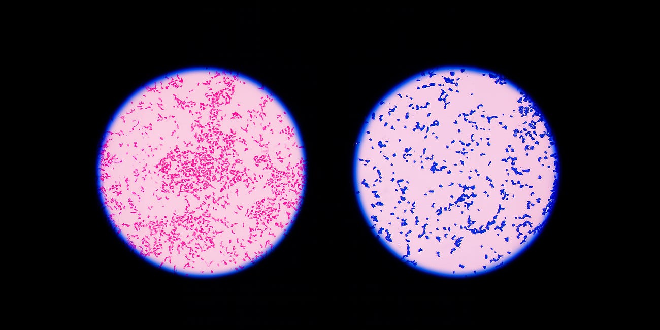 The Hidden Danger in High-Purity Peptides: Why Endotoxin Testing Is Non-Negotiable