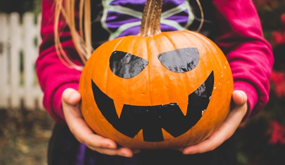 selective focus photography of person holding pumpkin selective focus photography of person holding pumpkin