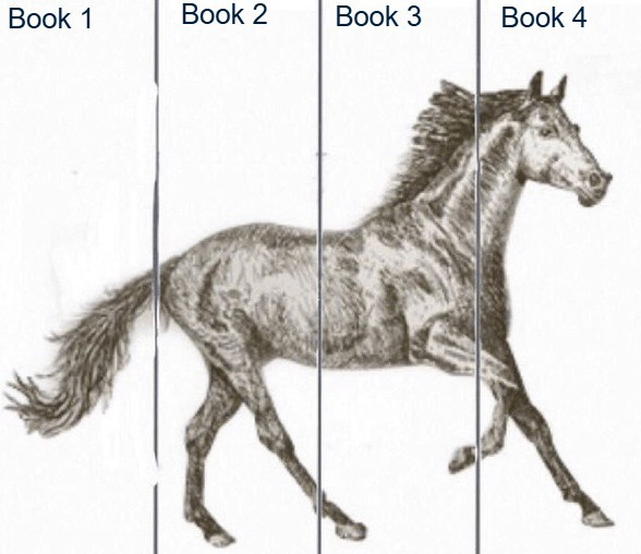 The best Horse memes :) Memedroid