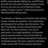 Tatsu’s Newsletter