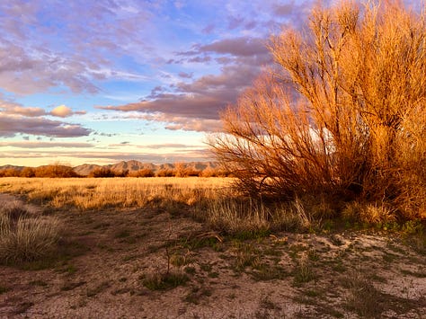 A beautiful ending to the perfect day, Wilcox Playa Wildlife Area, Arizona