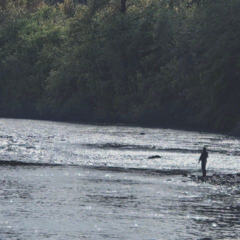 Fly Fishing With Neil 