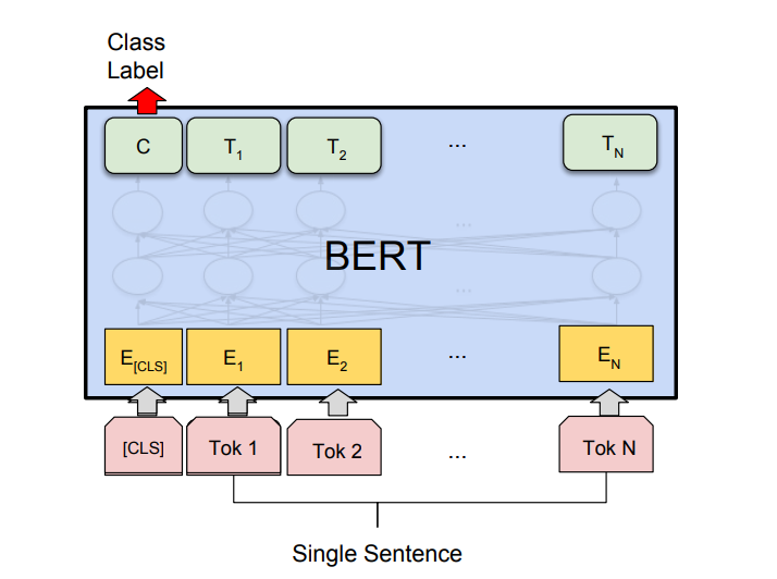 Single Sentence Classification Task-Geeksforgeeks