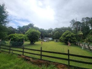 Escape from New York Socialism: Fed up with NYC? Discover Daufuskie Island, a Carolina refuge of freedom, faith, and fried flounder.