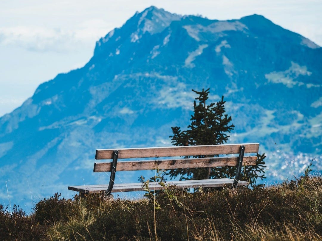 brown wooden bench on green grass field near mountain during daytime