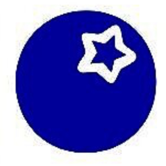 North Star Farm logo