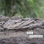 Anthropology.net
