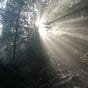 Trekking for Europe's avatar