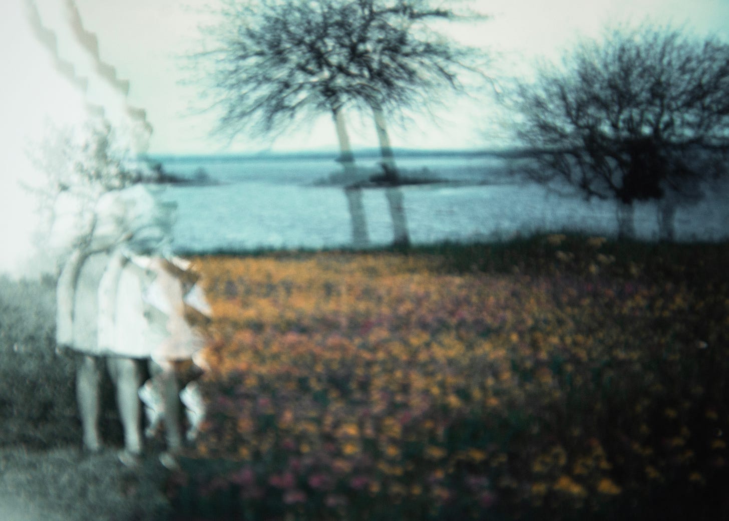 A ripped up photograph of trees, yellow flowers paired with a photograph of two kids.