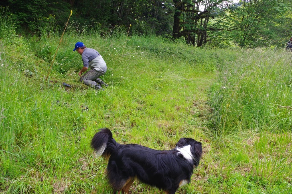 This image has an empty alt attribute; its file name is imgp0627.jpg