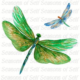 Seasons of Self