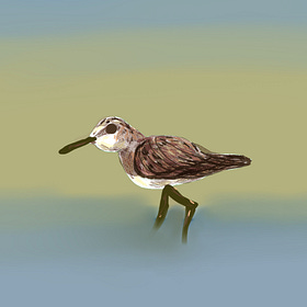 Cuando la creatividad escapa