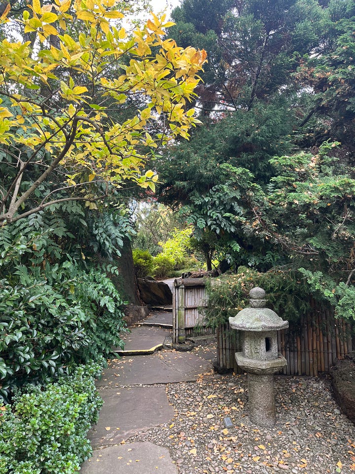 An autumn view of a peaceful Japanese garden