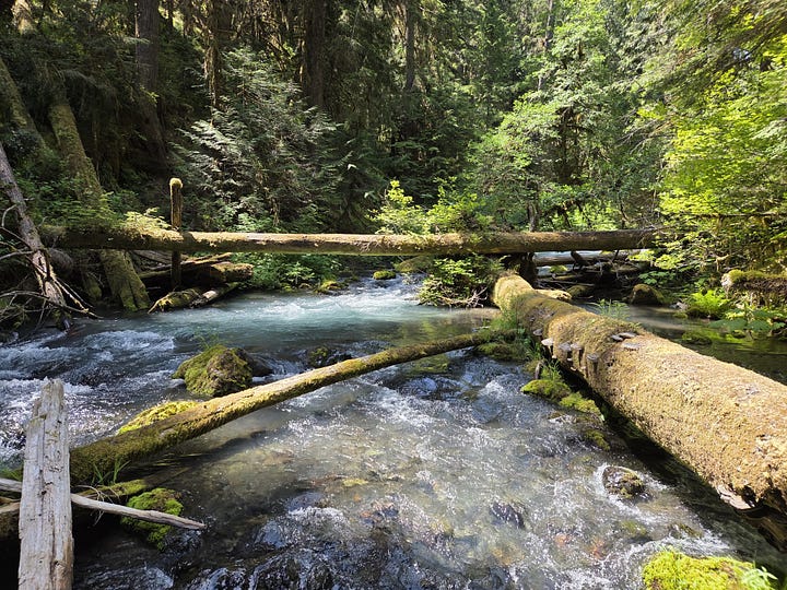 olympic mountain streams