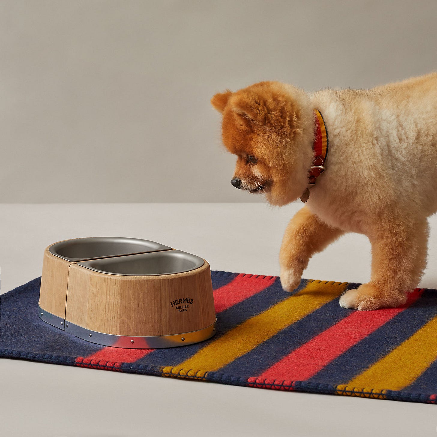 Hermes Dog Bowl