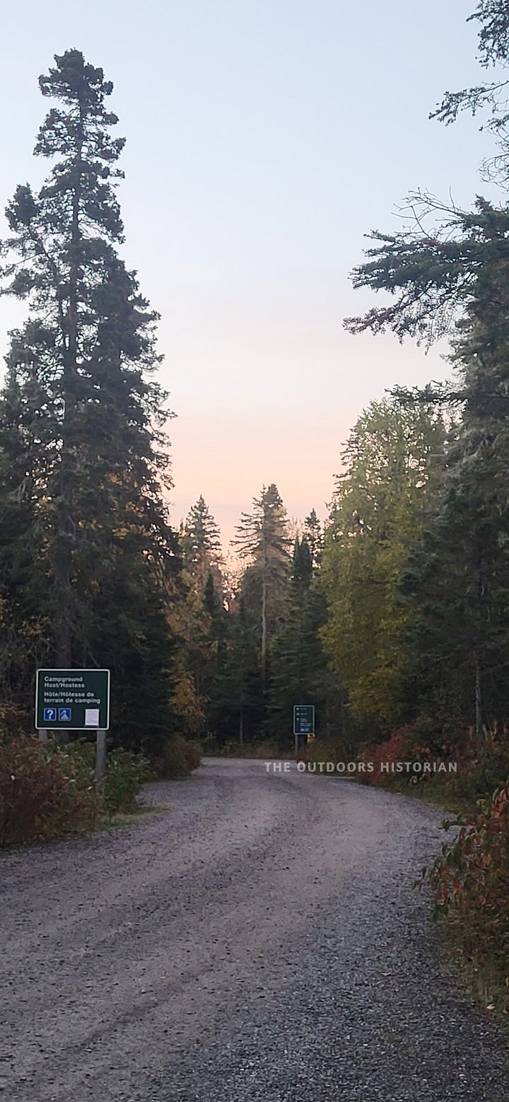 A gravel road winds through the Hattie Cove campground at Pukaskwa National Park. The road is flanked by a dense, imposing wall of towering spruce trees silhouetted against the deep blue light of dusk.