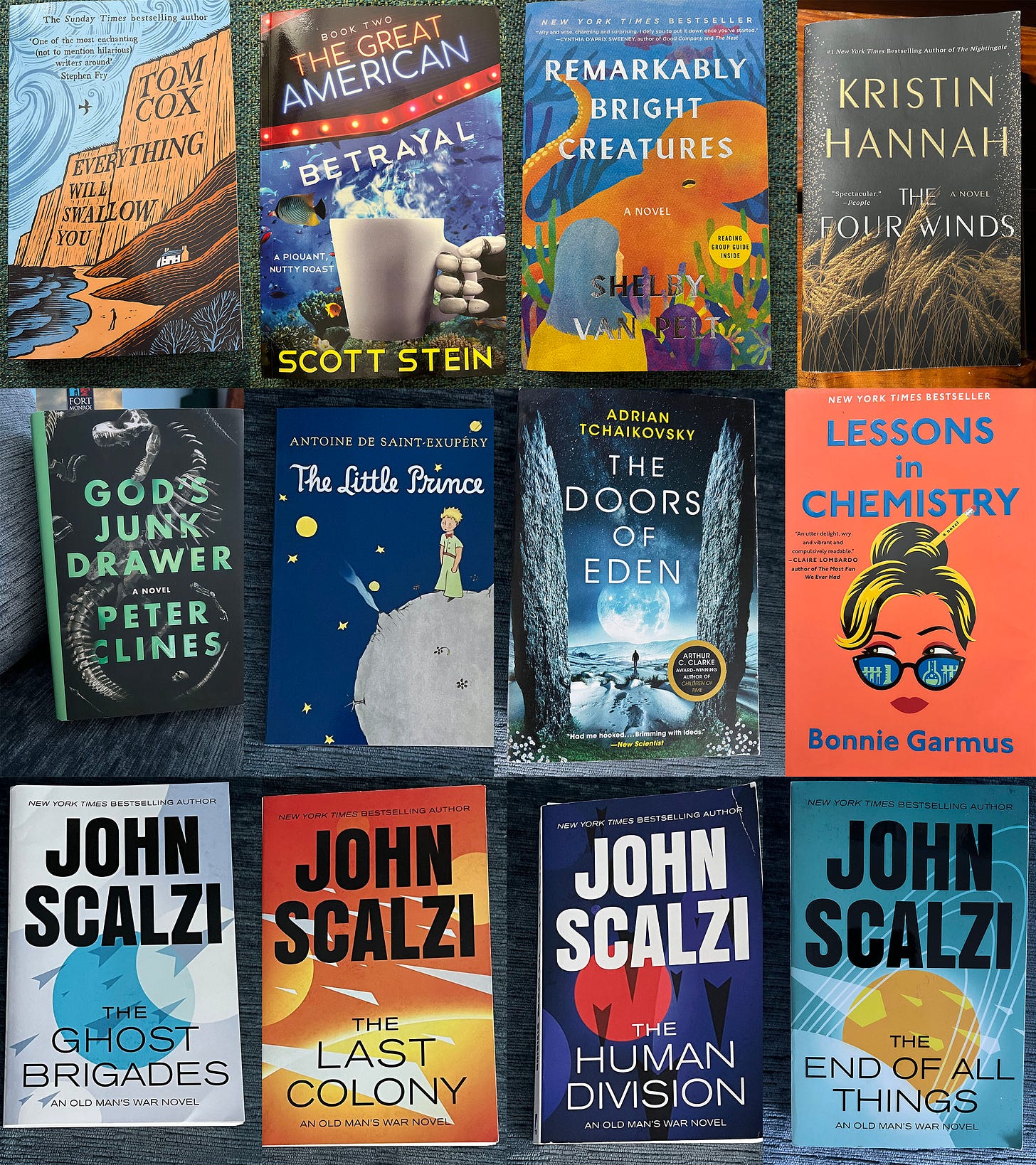 An array of 12 bookcovers