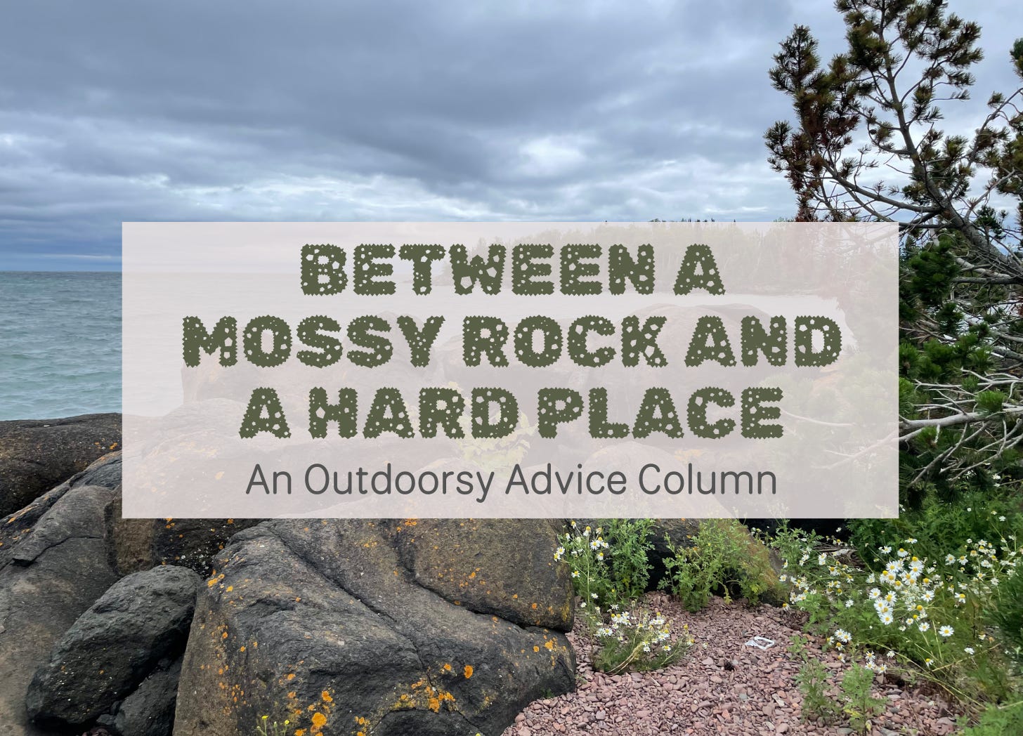 Between A Mossy Rock & A Hard Place: An Outdoorsy Advice Column