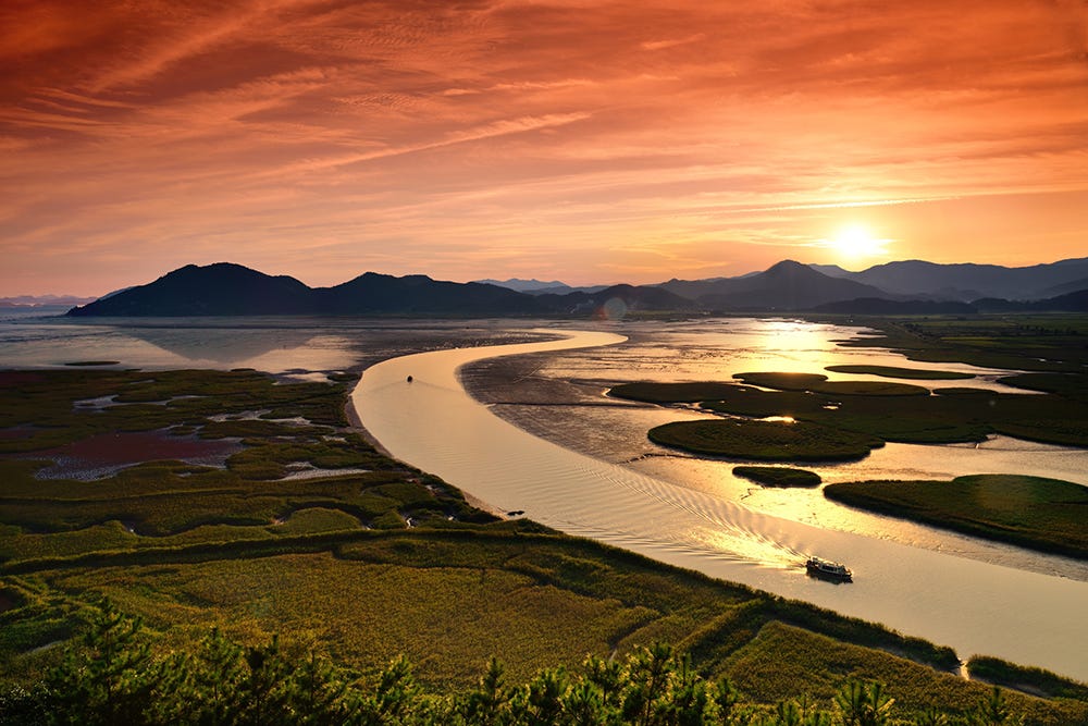 Suncheonman Bay Wetland Reserve | Suncheon | Observatory Suncheonman Bay Wetland Reserve | Suncheon | Observatory
