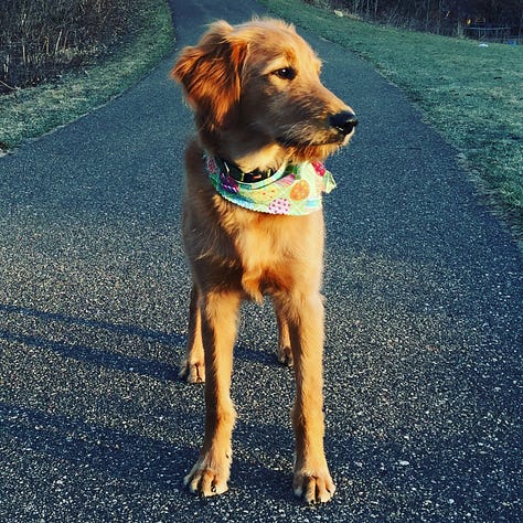 Images of Jordy through the last decade