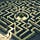 Hidden Rules of Development