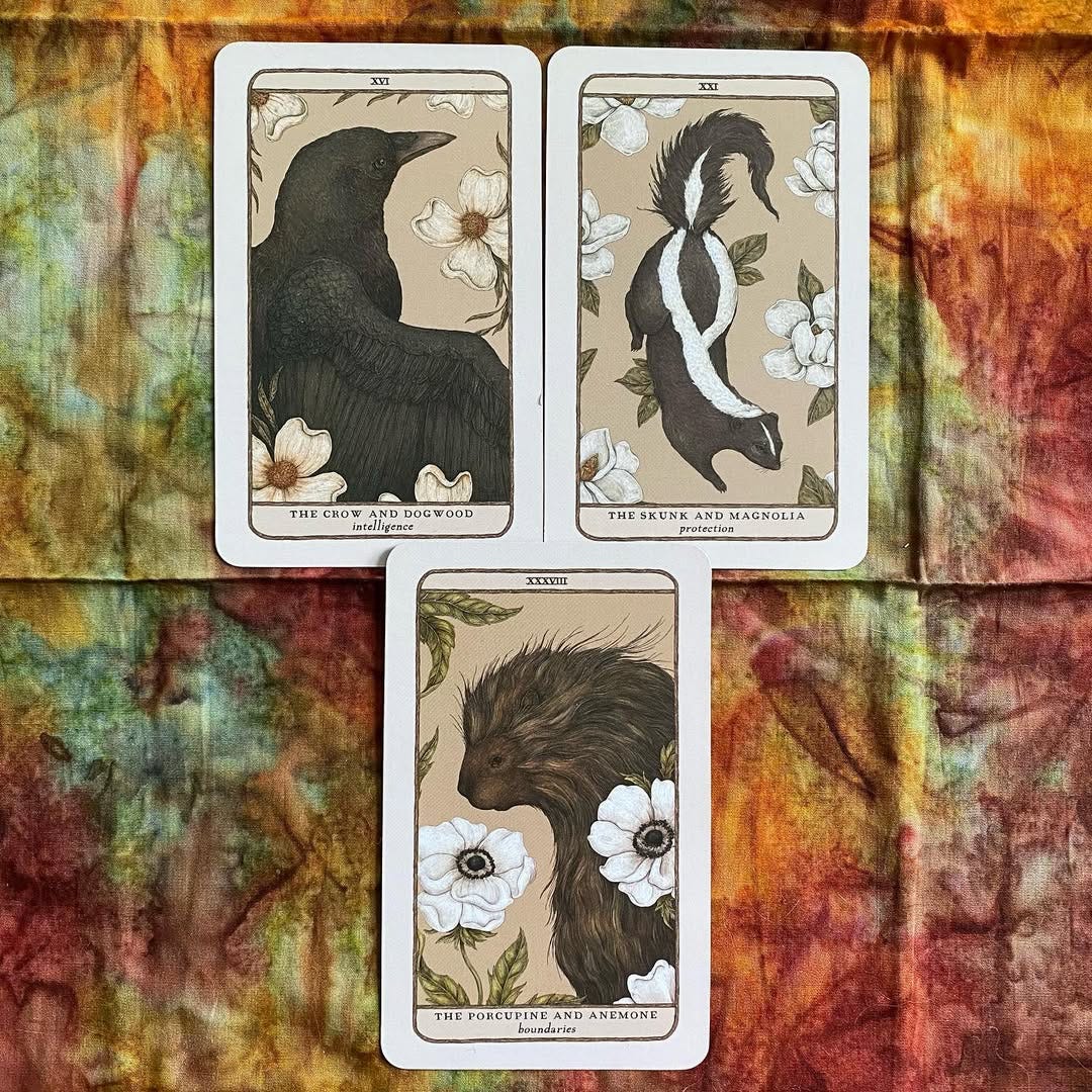 Crow & Dogwood (Intelligence), Skunk & Magnolia (Protection), Porcupine & Anemone (Boundaries) from the Woodland Wardens deck by Jessica Roux.